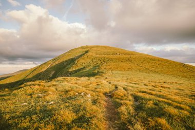 Arkasında dağ olan bir tarla.