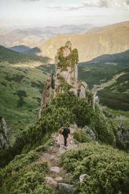 Kayalık bir tepede otlayan bir koyun sürüsü
