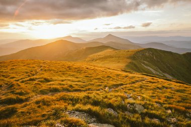 Arkasında dağ olan bir tarla.