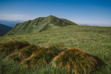Dağın yamacında bir işaret.
