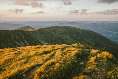 Arkasında dağ olan bir tarla.