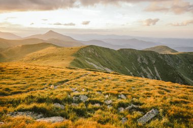 Arkasında dağ olan bir tarla.
