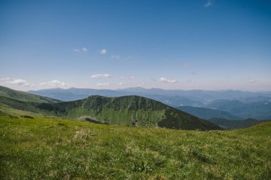 Çimenli bir tepede bir tabela