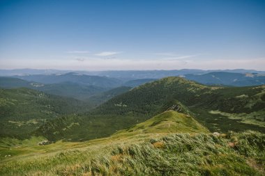 Yemyeşil bir yamacın kenarında bir tabela