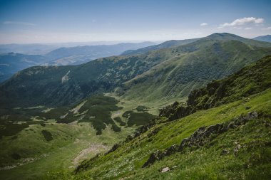 Bir koyun sürüsü yemyeşil bir yamaçta otluyor.