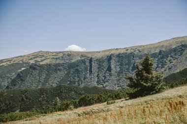 Dağın yamacında bir işaret.
