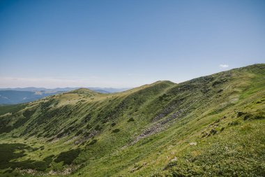 yemyeşil bir yamacın yakınına