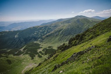 Bir koyun sürüsü yemyeşil bir yamaçta otluyor.