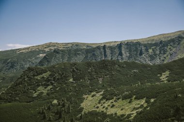 Kayalık bir dağın tepesinde duran bir koyun sürüsü