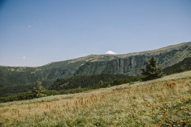 Arkasında dağ olan bir tarla.