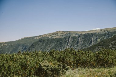 Bir dağın önünde bir işaret.