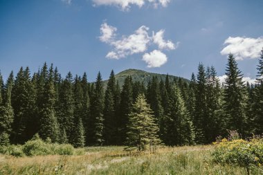 Karla kaplı bir tarlanın kenarında bir işaret.