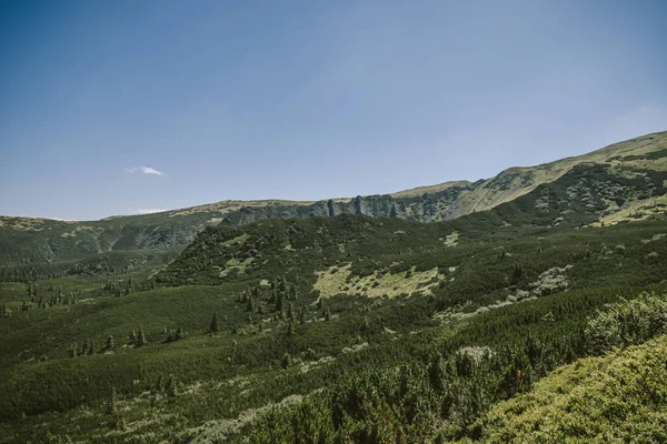 Група людей, що стоять перед горою — стокове фото