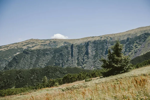 Μια πινακίδα στην άκρη ενός βουνού. — Φωτογραφία Αρχείου