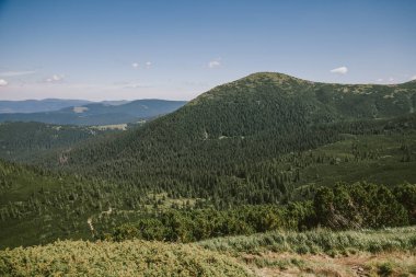 Arkasında dağ olan bir tabela.