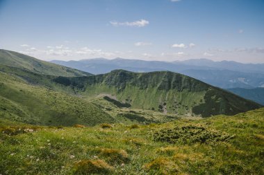 Arkasında dağ olan bir tarla.