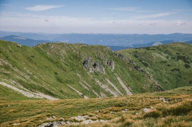 Bir koyun sürüsü yemyeşil bir yamacın tepesinde duruyor