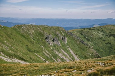 Kayalık bir tepede otlayan bir koyun sürüsü