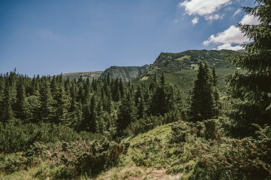 Dağın yamacında bir işaret.