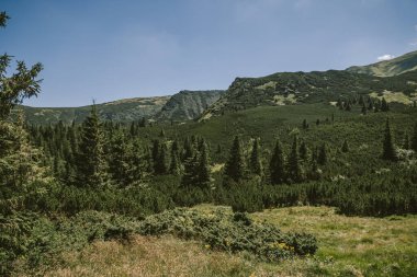 Dağın yamacında bir işaret.