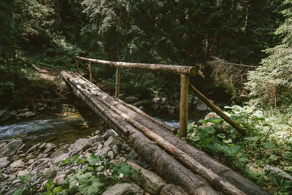 숲 속의 나무 다리 — 스톡 사진