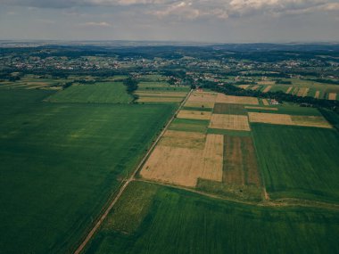 Çimenli bir tepede bir tabela