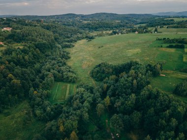 yemyeşil bir tepe manzarası