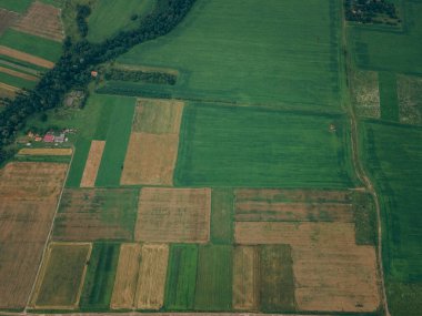 Tahta masada bir tabela.