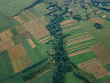 Yeşil bir alana yakın çekim