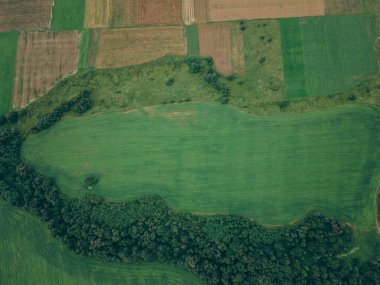 Arkasında binalar olan yeşil bir tabela.