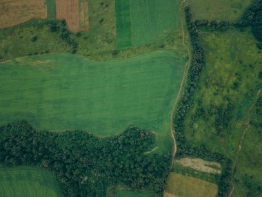 Beyaz metinli yeşil bir işaret.