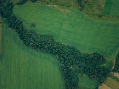 Yeşilliklerle dolu bir araziye yakın çekim