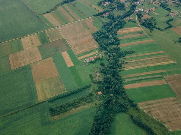 Um close de um campo verde — Fotografia de Stock