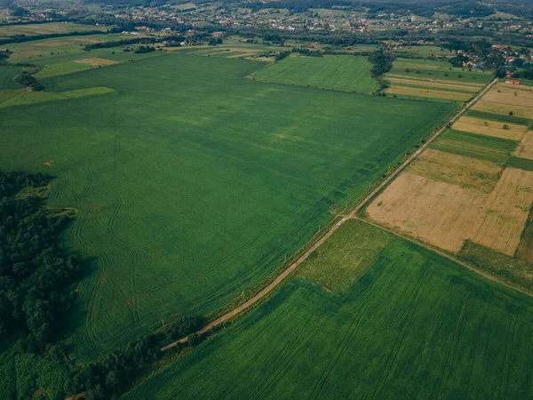 Una vista de un exuberante campo verde — Foto de Stock