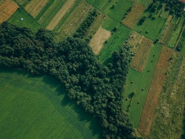 Yeşil bir binanın yakın çekimi.