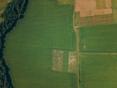 Yeşil bir alana yakın çekim