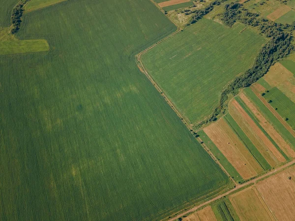 Un primer plano de un edificio verde — Foto de Stock