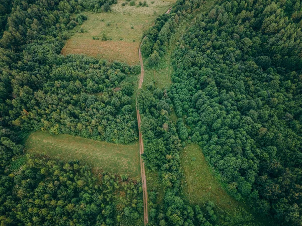 Ένα τρένο που ταξιδεύει κάτω από τις σιδηροδρομικές γραμμές κοντά σε ένα δάσος — Φωτογραφία Αρχείου