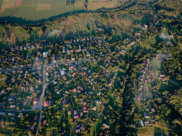 En flock fåglar står på toppen av ett berg — Stockfoto