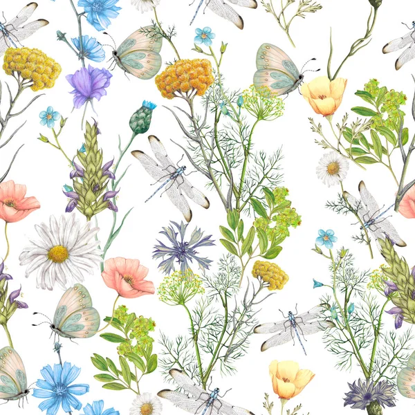 Patrón Sin Costuras Flores Silvestres Jardín Dibujadas Mano Con Insectos — Foto de Stock