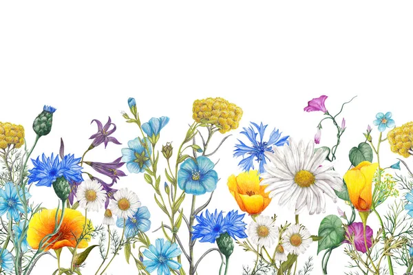 Seamless Border Hand Drawn Wildflowers — Stock Photo, Image