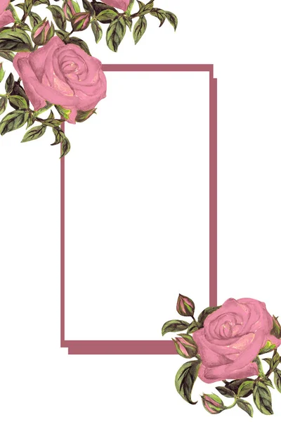 Hand Drawn Card Vintage Roses — Stock Photo, Image