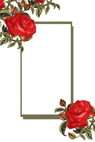 Hand Drawn Card Vintage Roses — Stock Photo, Image