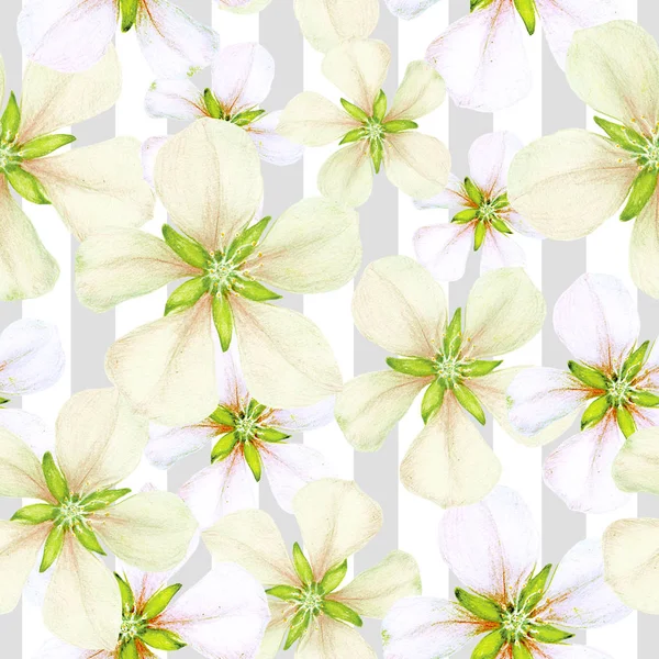 Seamless Pattern Hand Drawn Apple Flowers Stripes — Stock Photo, Image