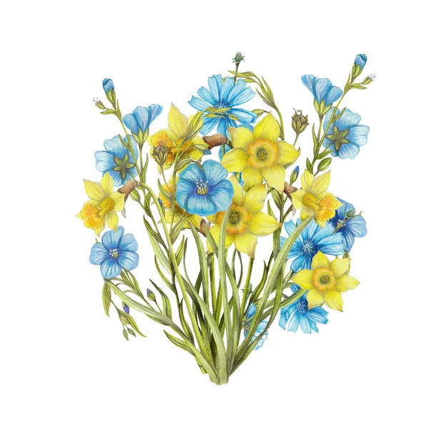 Hand Drawn Bouquet Narcissus Flowers Flax Flowers — Stock Photo, Image