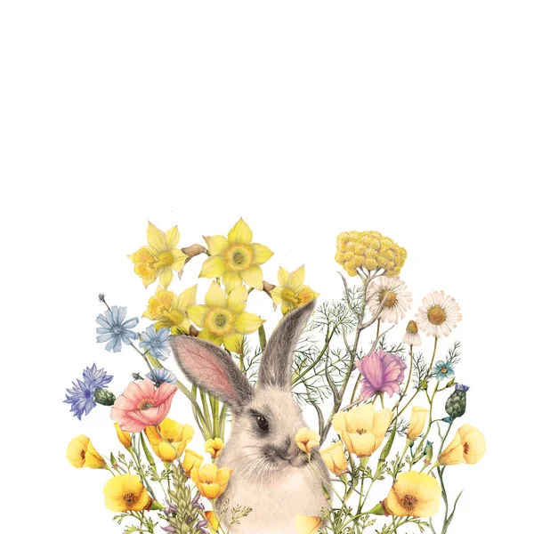 Hand Dras Bunny Blommor Bakgrund — Stockfoto