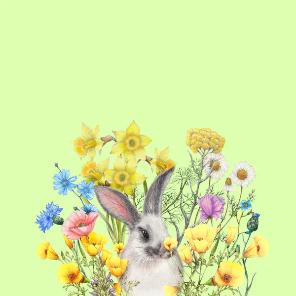 Hand drawn bunny on wildflowers background