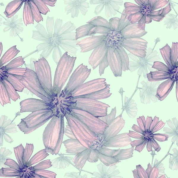 Seamless Botanical Pattern Watercolor Chicory — Stock Photo, Image