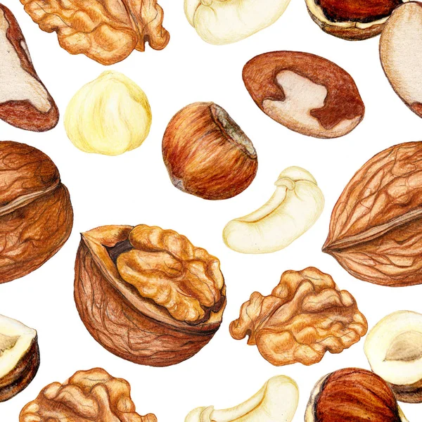 Seamless food pattern of hand drawn nuts