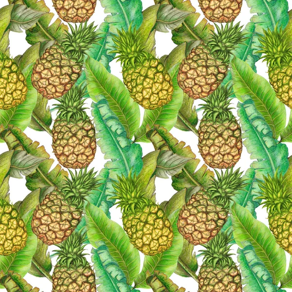 Sömlösa Botaniska Mönster Ananas Tropiska Växter — Stockfoto